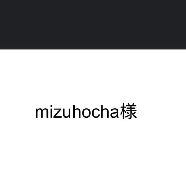 mizuhocha様専用⭐オーダー ハンドメイドのファッション小物(バッグ)の商品写真