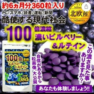 100倍濃縮　濃い　ビルベリー　ルテイン　コンドロイチン サプリ　６ヶ月分(その他)