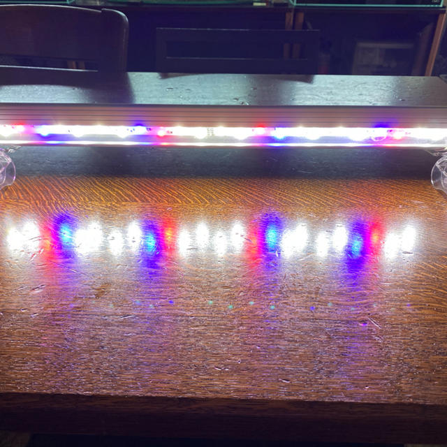 ほのパパ様専用 60cm 水槽用 LED 照明 アクシーエルティー600の