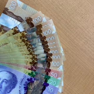カナダドル　1081ドル分(貨幣)