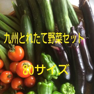 九州とれたて野菜セット(野菜)