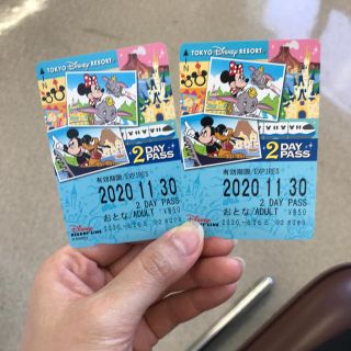 ディズニーリゾートライン モノレール 2days(遊園地/テーマパーク)