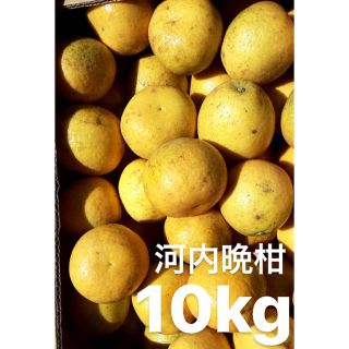 宇和ゴールド10Kg   河内晩柑　愛媛(フルーツ)