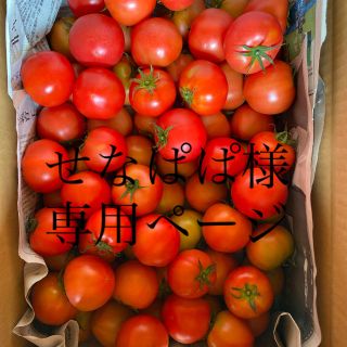 せなぱぱ様専用ページ(野菜)