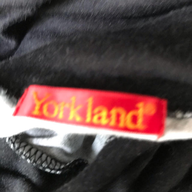 Yorkland(ヨークランド)のヨークランドのタートルネックTシャツ メンズのトップス(Tシャツ/カットソー(七分/長袖))の商品写真