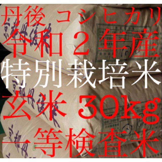 【送料無料.一等検査玄米】新米 令和2年度産 京都 丹後 コシヒカリ 30kg食品/飲料/酒