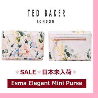 テッドベイカー(TED BAKER)のTED BAKER LONDON Esma Elegant Mini Purse(財布)