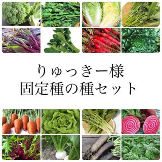 りゅっきー様専用　★伝統野菜★固定種の種セット(野菜)