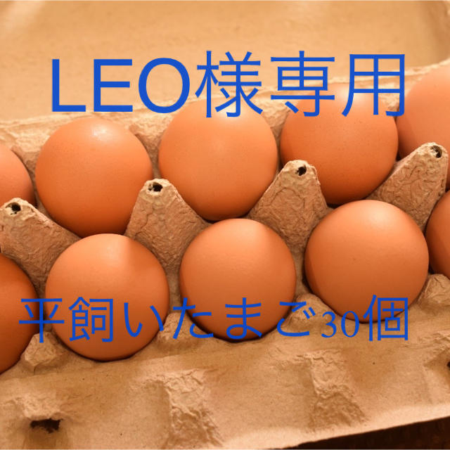  LEO様専用　平飼いたまご30個 食品/飲料/酒の食品(野菜)の商品写真