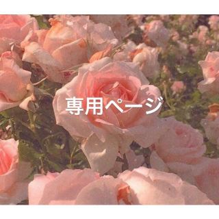 専用出品(その他)