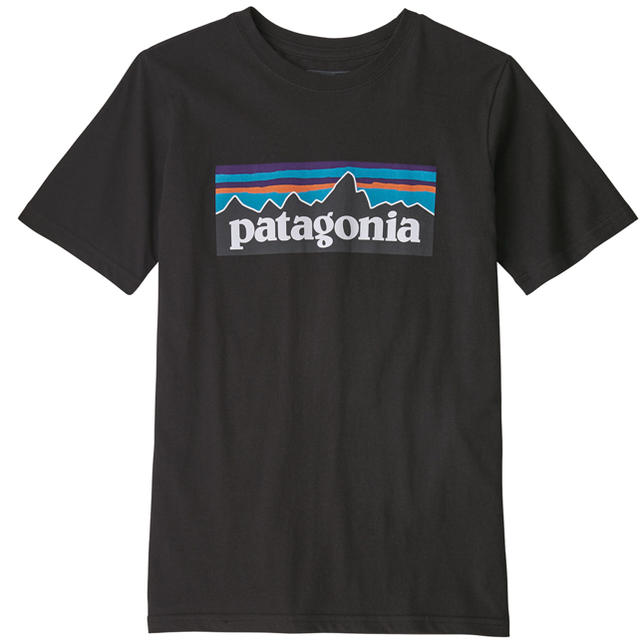 patagonia(パタゴニア)の毛玉仙人様専用　　パタゴニア　コットン　ロゴT 黒　P6 レディースのトップス(Tシャツ(半袖/袖なし))の商品写真