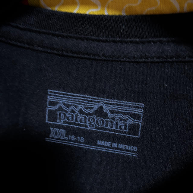 patagonia(パタゴニア)の毛玉仙人様専用　　パタゴニア　コットン　ロゴT 黒　P6 レディースのトップス(Tシャツ(半袖/袖なし))の商品写真