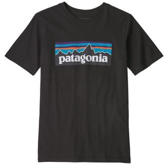 パタゴニア(patagonia)の毛玉仙人様専用　　パタゴニア　コットン　ロゴT 黒　P6(Tシャツ(半袖/袖なし))