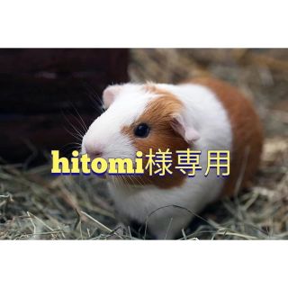 hitomi様専用ページ(壁掛けミラー)