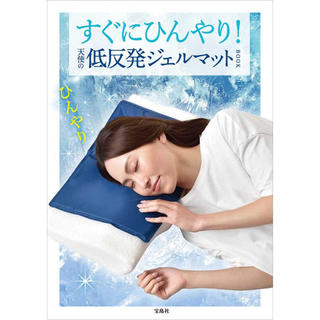 タカラジマシャ(宝島社)の値下げ❤️低反発ジェルマット❤️すぐにヒンヤリ❤️夏にピッタリの商品❤️(枕)