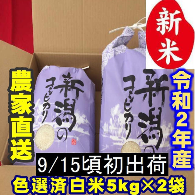 9／15 初出荷 新米・令和２年産新潟コシヒカリ　白米5kg×2個★農家直送08