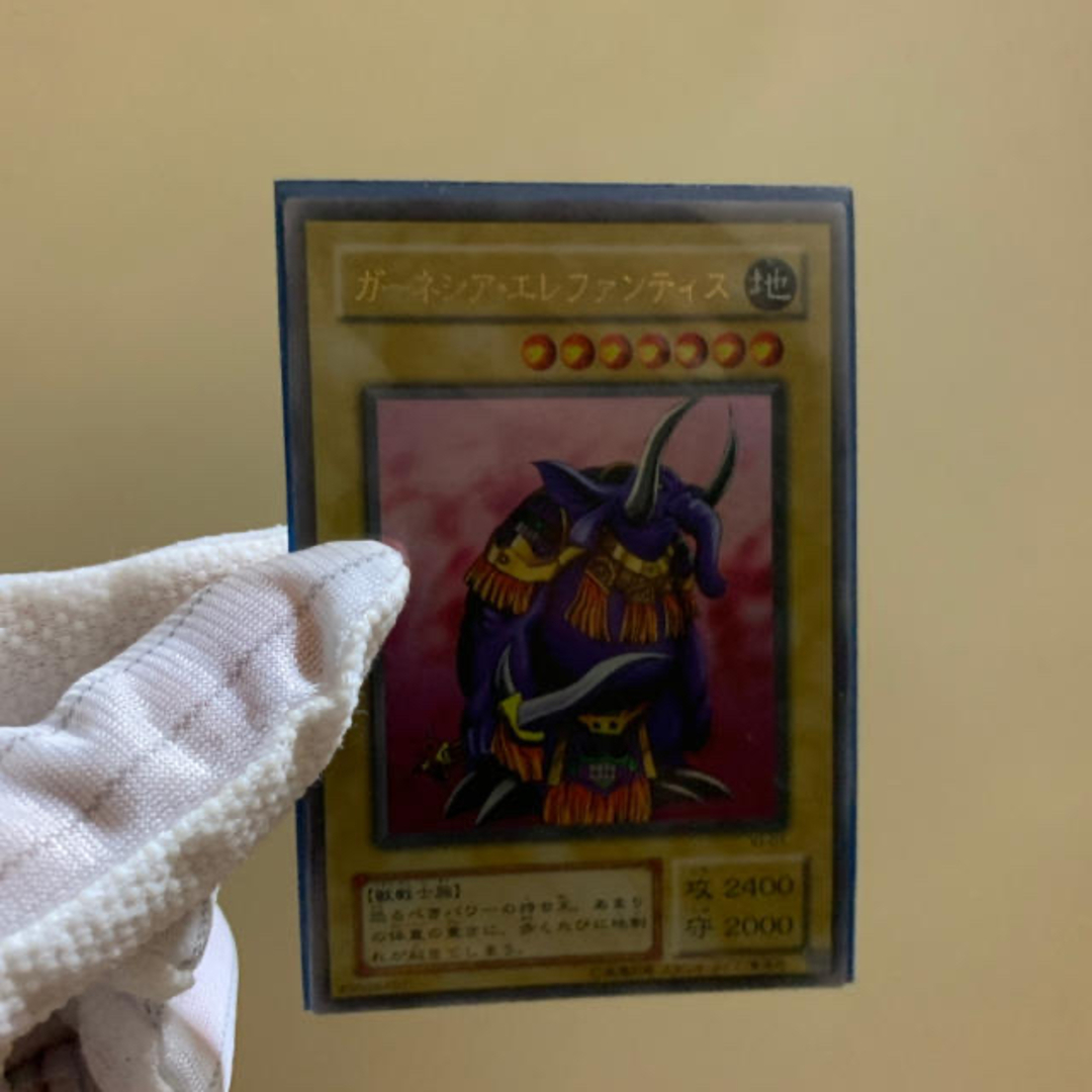 遊戯王(ユウギオウ)の遊戯王カード ガーネシアエレファンティス エンタメ/ホビーのトレーディングカード(シングルカード)の商品写真