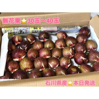 無花果⭐︎30玉〜40玉　約3kg 石川県産⭐︎本日発送致します(フルーツ)