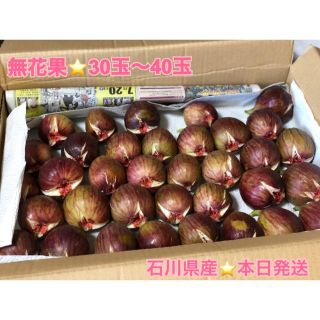 無花果⭐︎30玉〜40玉　石川県産⭐︎本日発送致します(フルーツ)