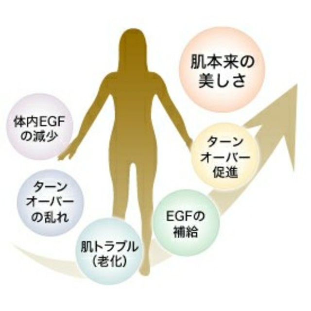 《お値下げ中！！》EARTH 原液100%シリーズ EGF コスメ/美容のスキンケア/基礎化粧品(美容液)の商品写真