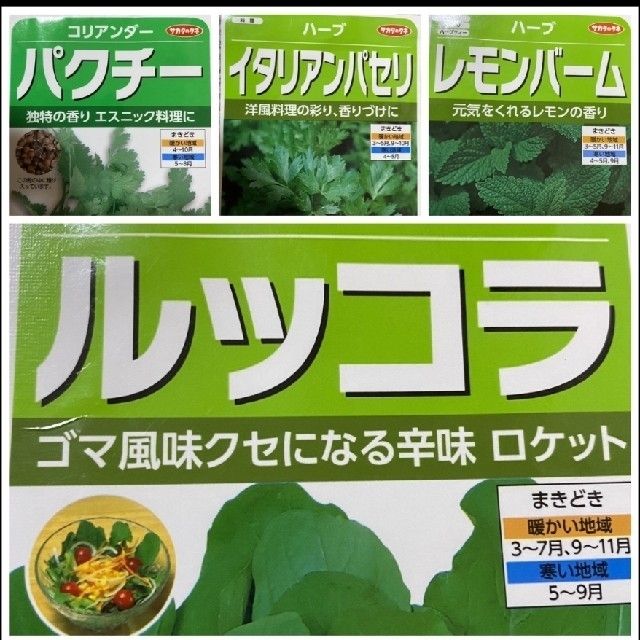 【ハーブの種】野菜の種　4種類  家庭菜園  プランター 食品/飲料/酒の食品(野菜)の商品写真