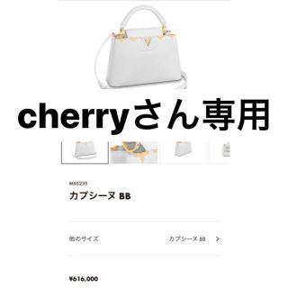 ルイヴィトン(LOUIS VUITTON)のルイヴィトン　カプシーヌ(ハンドバッグ)