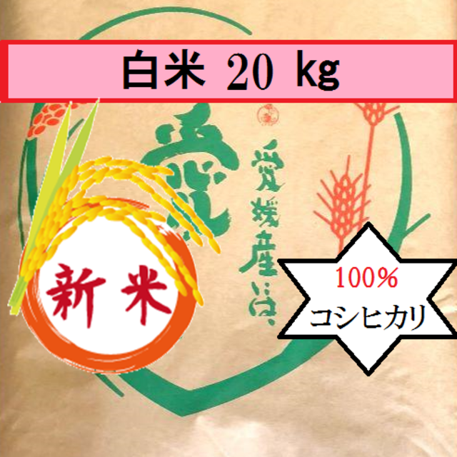 お米 令和2年 愛媛県産コシヒカリ 白米 20㎏ - 米/穀物