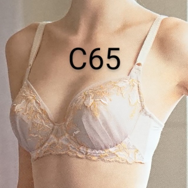 シャルレ パレッティブラジャー C65