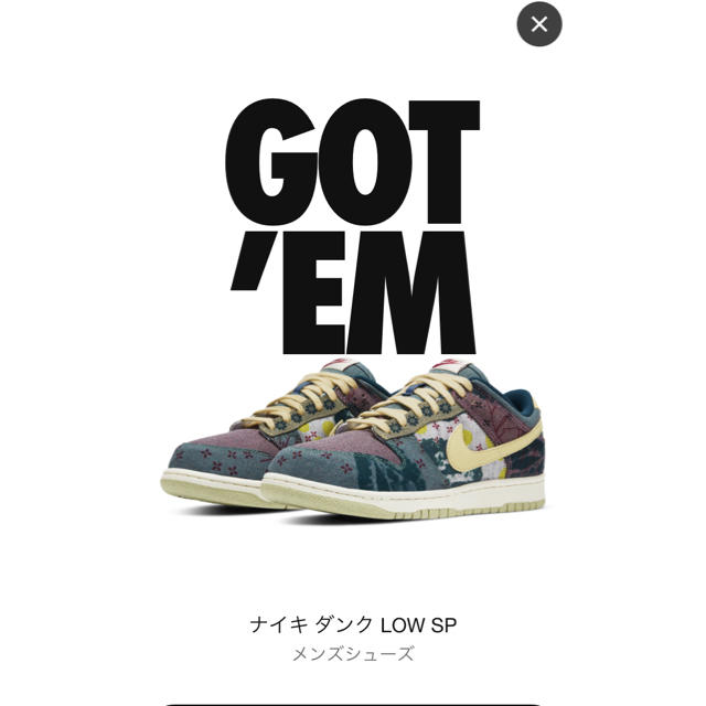 NIKE ダンク LOW community garden dunk low靴/シューズ