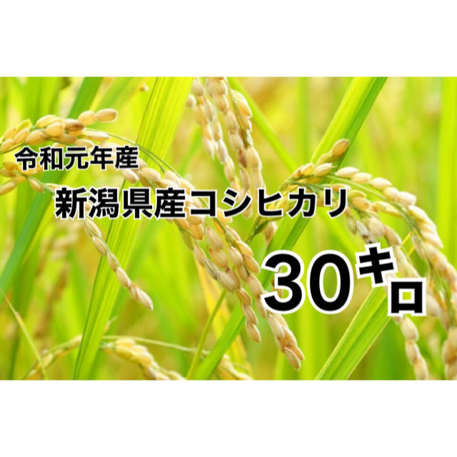 令和元年産　新潟県産　コシヒカリ　30キロ食品