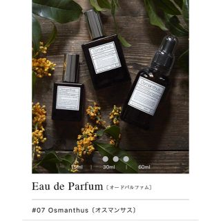 オゥパラディ(AUX PARADIS)のAUX PARADIS オスマンサス 30ml(香水(女性用))