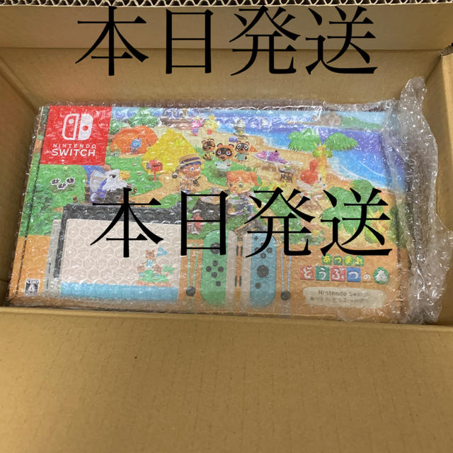 Nintendo Switch あつまれどうぶつの森セット任天堂スイッチ　あつ森