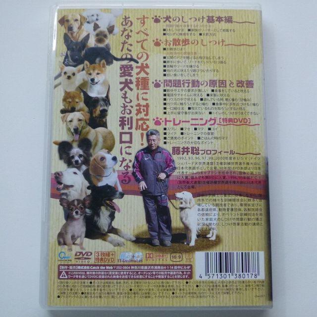 DVD 全4巻の通販 by SKI2016※値下交渉はご遠慮下さいませ｜ラクマ ダメ犬脱出！
藤井聡の犬のしつけ方法 人気新番