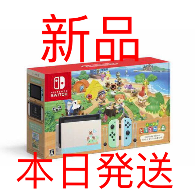 新品 Nintendo Switch 本体 あつまれ どうぶつの森セット1個セーフティーガイド