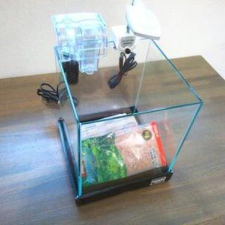 超美品！！２０cmキューブ水槽セット(アクアリウム)