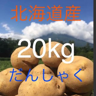 北海道産訳ありじゃがいも男爵20kg(野菜)