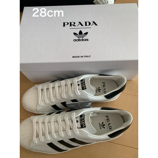 超歓迎 PRADA スーパースター アディダス プラダ SuperStar adidas