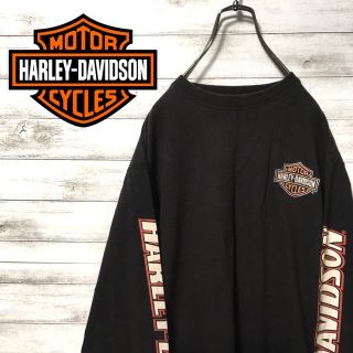 ハーレーダビッドソン(Harley Davidson)の激レア ハーレーダビットソン ハーレー ロンT スリーブロゴ 刺繍ロゴ 美品(Tシャツ/カットソー(七分/長袖))