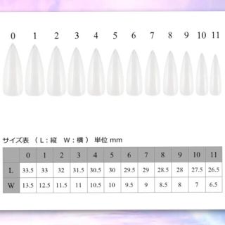 ネイルチップ☆ No.46 ハンドメイドのアクセサリー(ネイルチップ)の商品写真