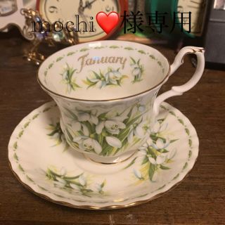 ロイヤルアルバート(ROYAL ALBERT)のロイヤルアルバート January snow dropカップ&ソーサー新品(グラス/カップ)