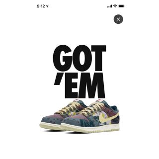 ナイキ(NIKE)のNIKE DUNK LOW Community Garden 27.5(スニーカー)