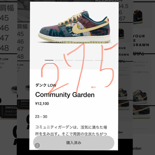 ナイキ　ダンク　LOW community garden