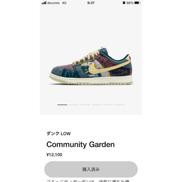 27.5 NIKE DUNK LOW community garden