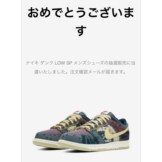 NIKE(ナイキ)のNIKE DUNK LOW SP  COMMUNITY GARDEN メンズの靴/シューズ(スニーカー)の商品写真