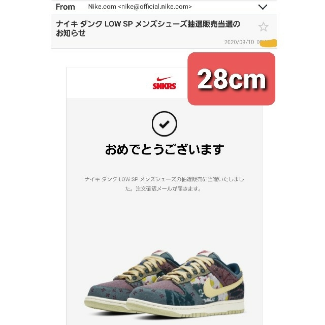 靴/シューズ28cm NIKE DUNK LOW Community Garden