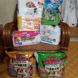 中型犬 おむつ 高齢犬フード まとめ売り +人間用尿とりパッド(犬)