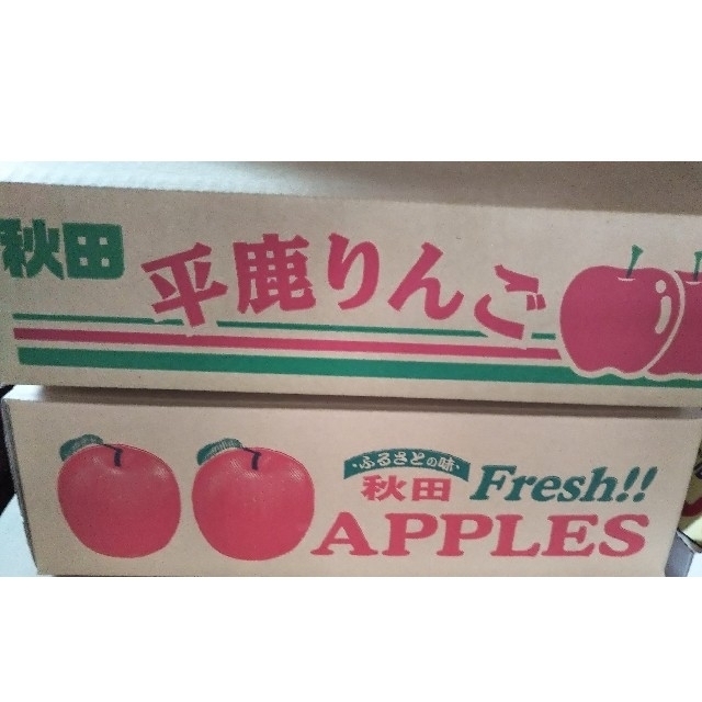 16個(約5kg入り)秋田県横手市産 品種さんさ  食品/飲料/酒の食品(フルーツ)の商品写真