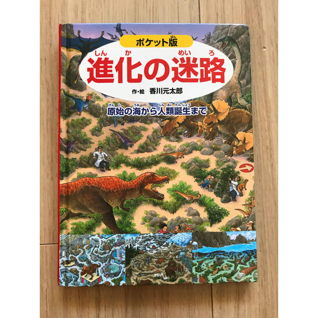 進化の迷路　ポケット版 エンタメ/ホビーの本(絵本/児童書)の商品写真