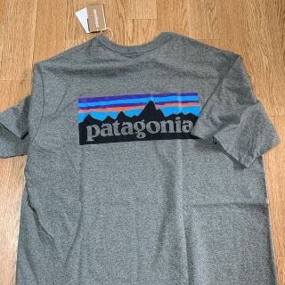 パタゴニア(patagonia)のパタゴニアTシャツⓂ️(Tシャツ/カットソー(半袖/袖なし))