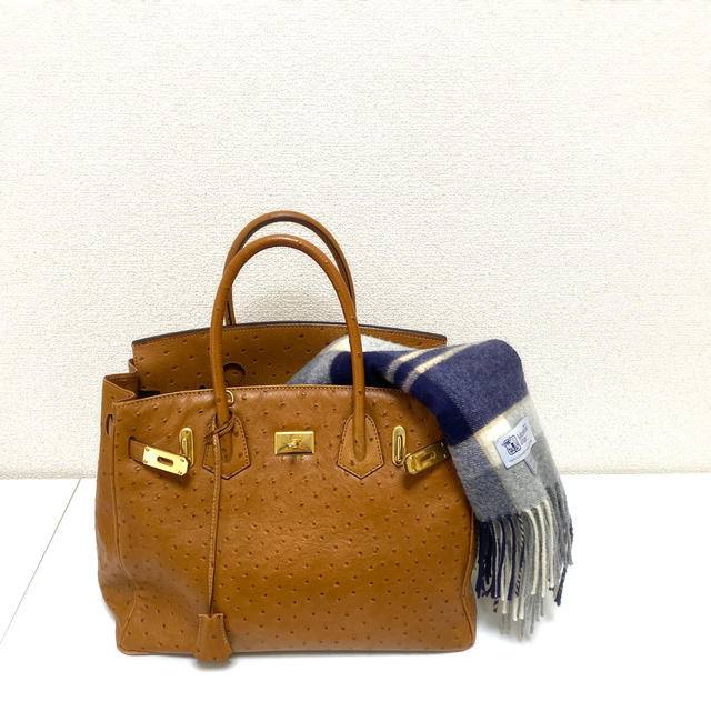 セコロ　バーキン　オーストリッチ レディースのバッグ(ハンドバッグ)の商品写真